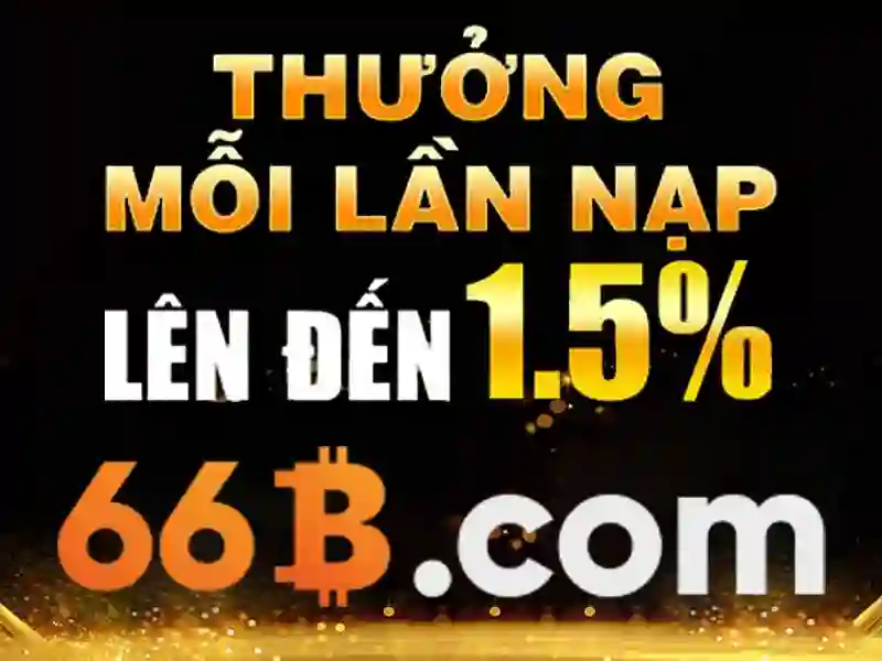 66B: Khám phá kích thước và tiềm năng