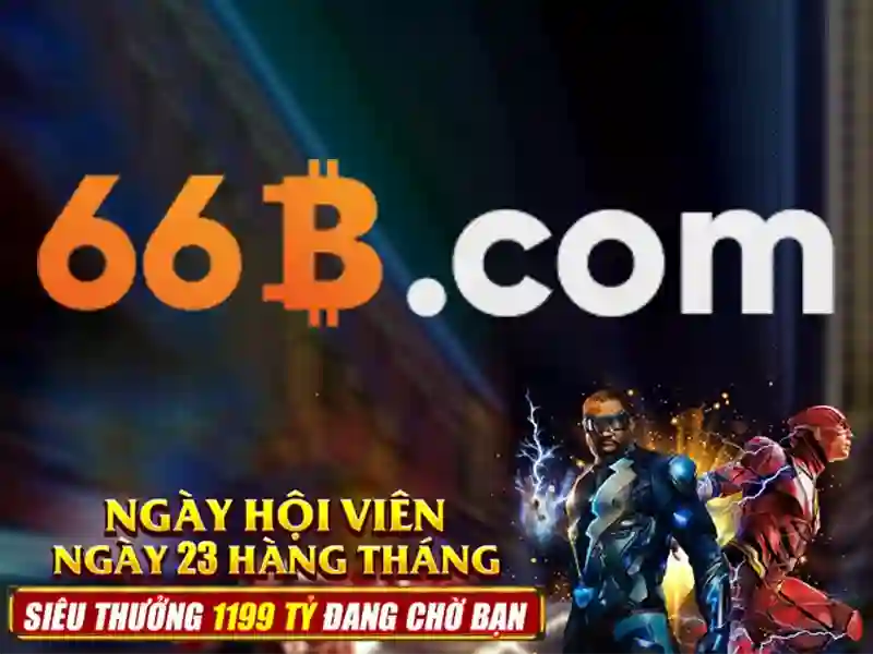66B là gì?