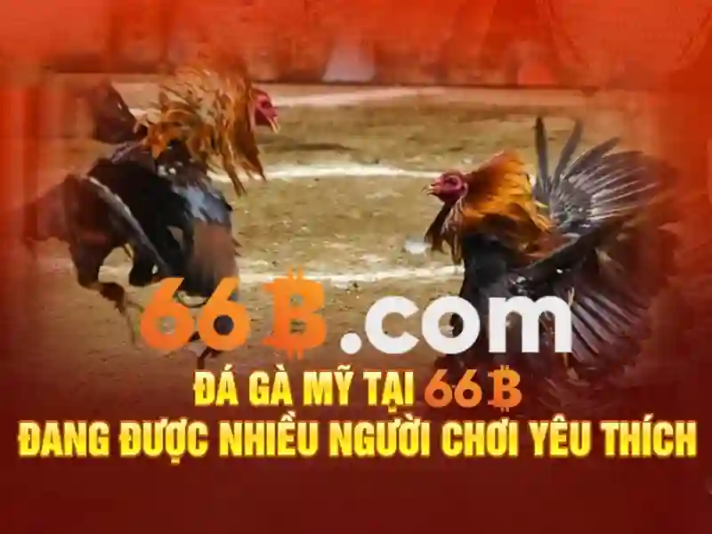 Khám phá 66b: ý nghĩa và ứng dụng