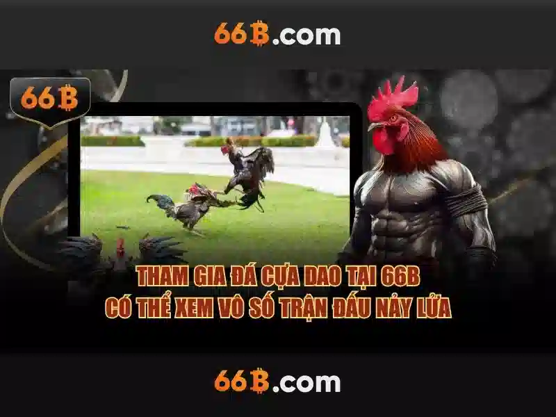 Kiến trúc và cách hoạt động của 66b