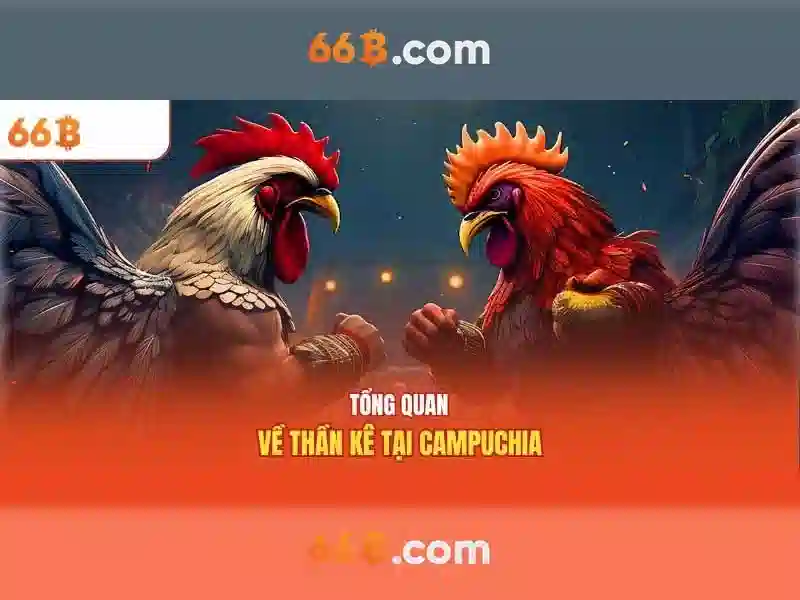 66B là gì và tại sao nó quan trọng?