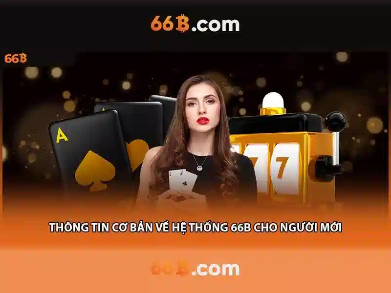 66B là gì