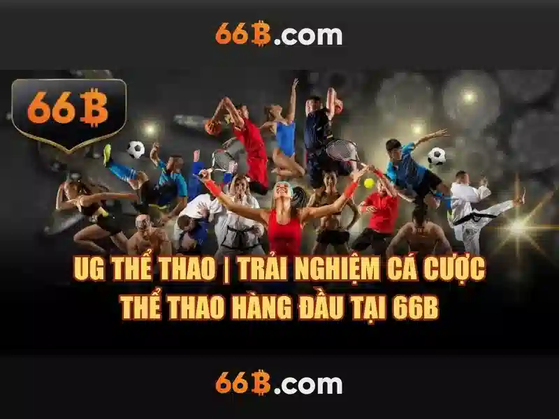 66b: một khái niệm và câu chuyện số