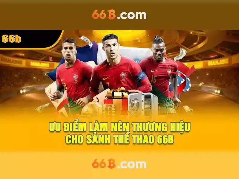 Khái niệm về 66B