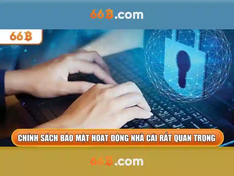 '66B là gì?'