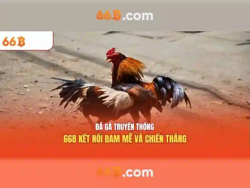 Lược đồ tham số và cài đặt