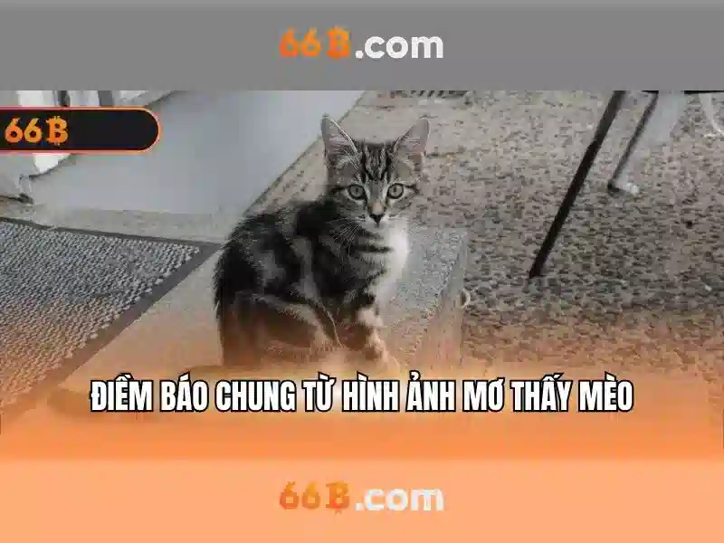 66b nguyễn sỹ sách, phường 15, quận tân bình – Nguồn gốc và sứ mệnh