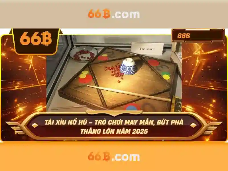 66b là gì và ứng dụng của nó
