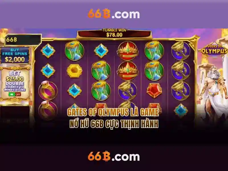 Khái niệm cơ bản của 66b