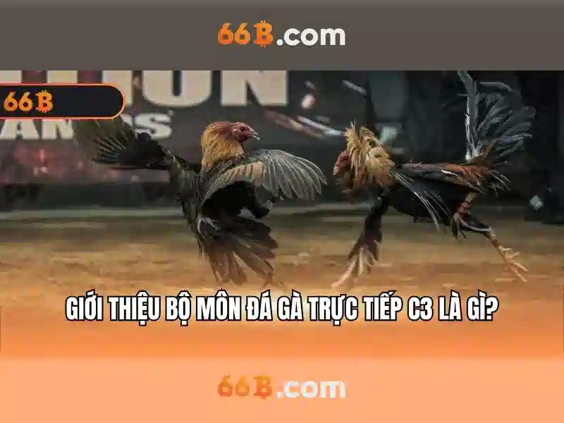 66B: Mô hình ngôn ngữ 66 tỷ tham số và ứng dụng
