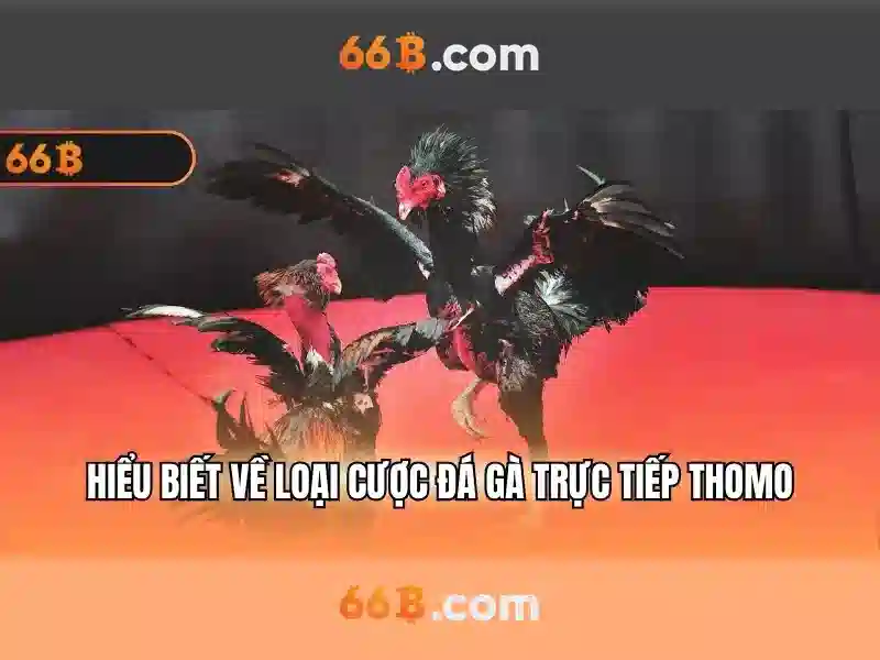 Cấu trúc và tham số của 66b