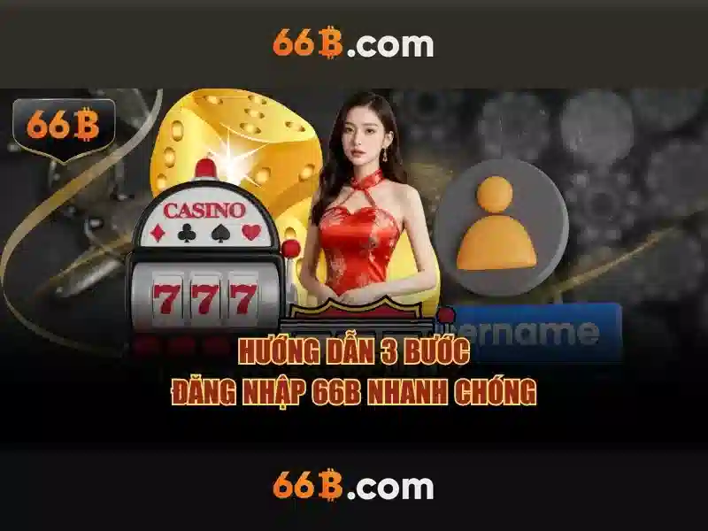 Trải nghiệm người dùng và phản hồi
