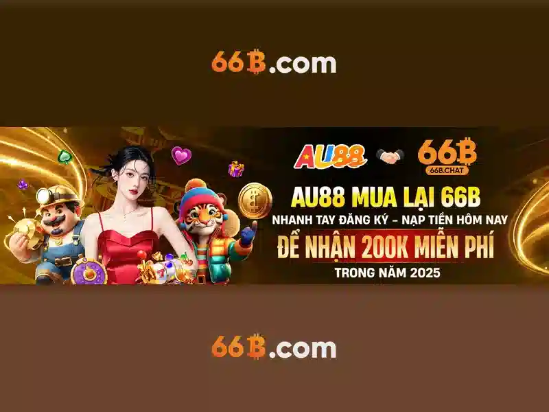 66B: Một cái nhìn tổng quan