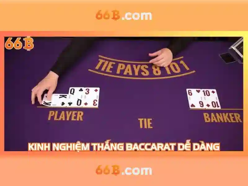 66b trong công nghệ và dữ liệu