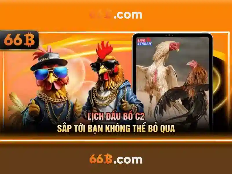 66B: Hiệu ứng và ứng dụng của mô hình ngôn ngữ có 66 tỷ tham số