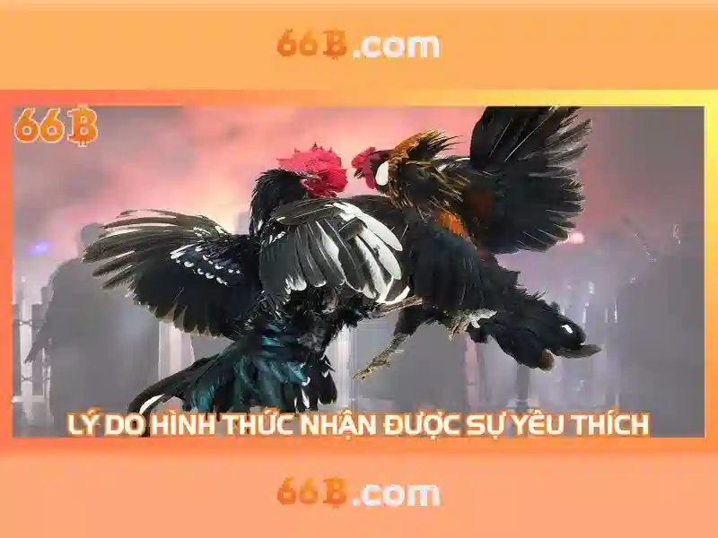 tải 66b - khám phá giá trị và trải nghiệm tải 66b