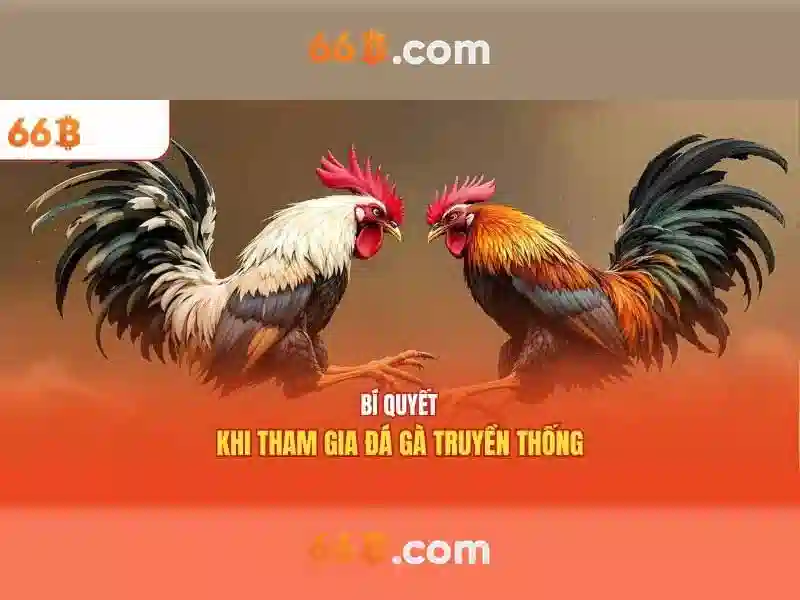 sata 66b/s – Tổng quan, ứng dụng và hành trình phát triển