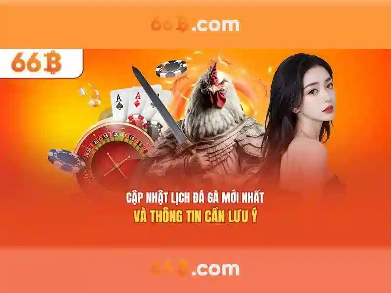 Khái niệm cơ bản về 66b