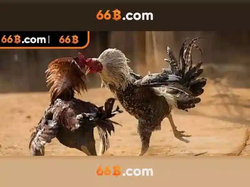 66b busz menetrend – Tổng quan chủ đề và giá trị cốt lõi