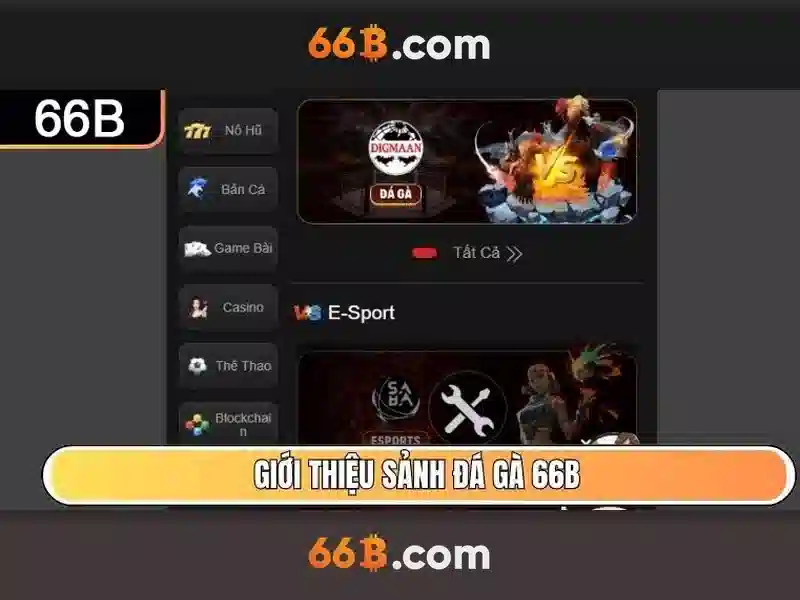 66b: khái niệm và ý nghĩa