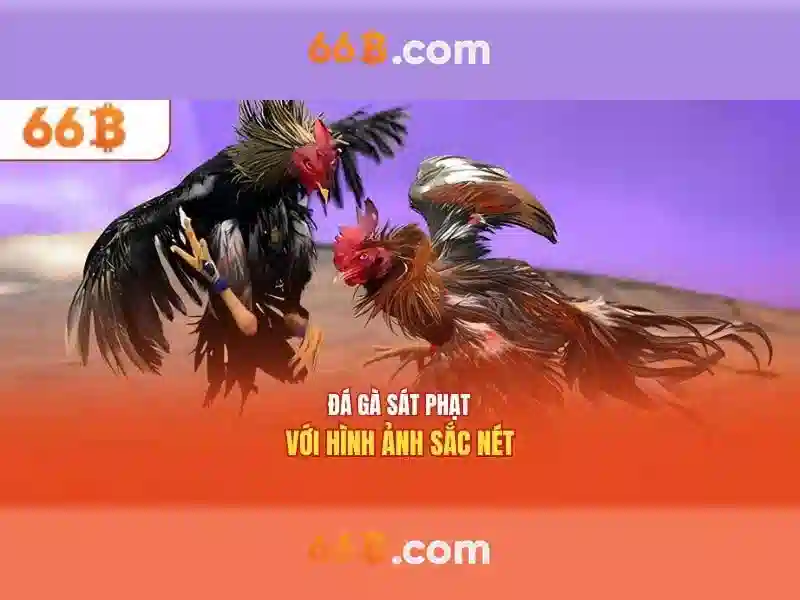 66B: mô hình ngôn ngữ quy mô lớn
