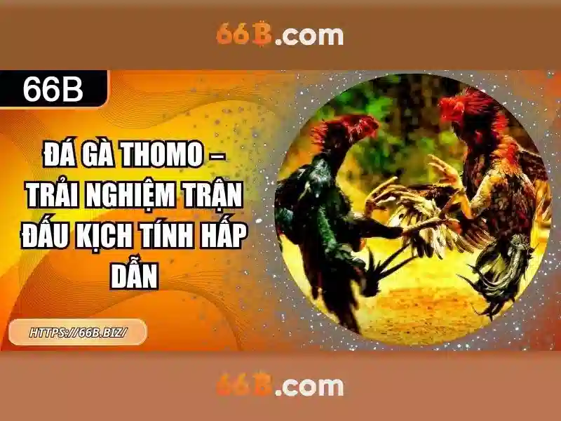 66B: Mô hình ngôn ngữ lớn 66B và những điều cần biết