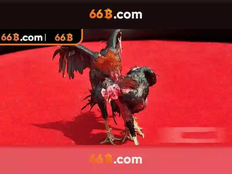 66B: Mô hình ngôn ngữ lớn với 66 tỷ tham số và ứng dụng