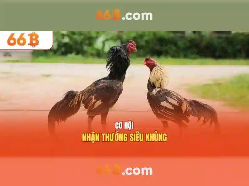 Kích cỡ áo ngực 66B: Ý nghĩa, đo lường và mẹo chọn