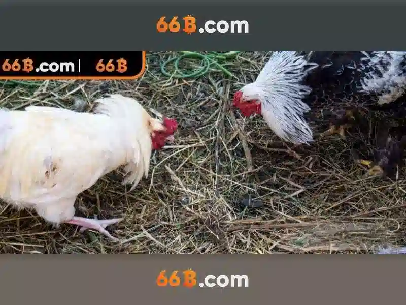 Huấn luyện và dữ liệu