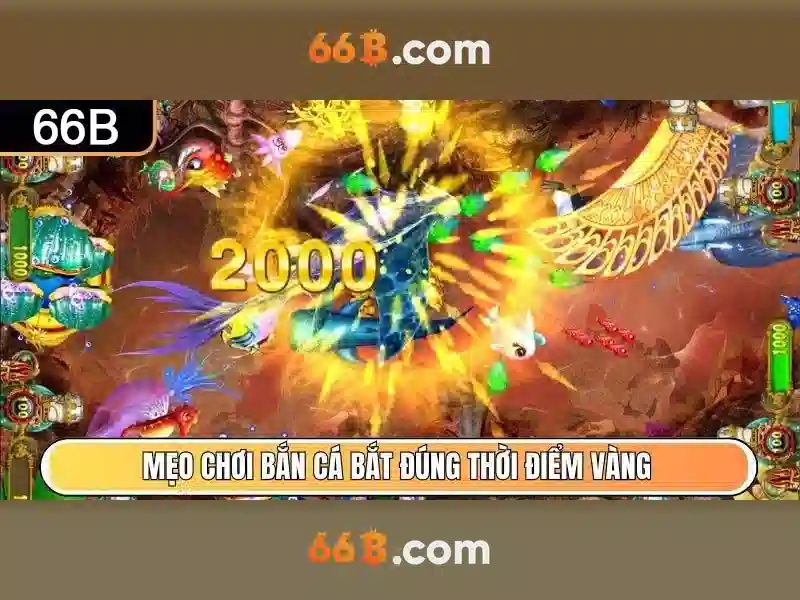 66B là gì?