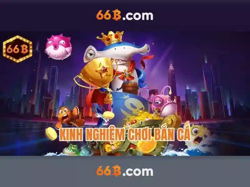 66b: một ký hiệu đa nghĩa và tiềm năng ứng dụng