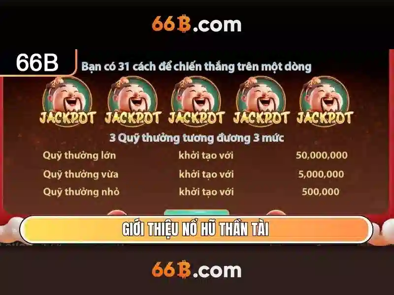 66B là gì?