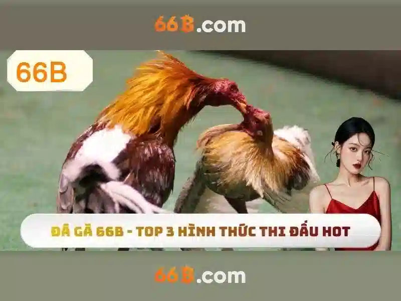 Giới thiệu về mô hình 66B