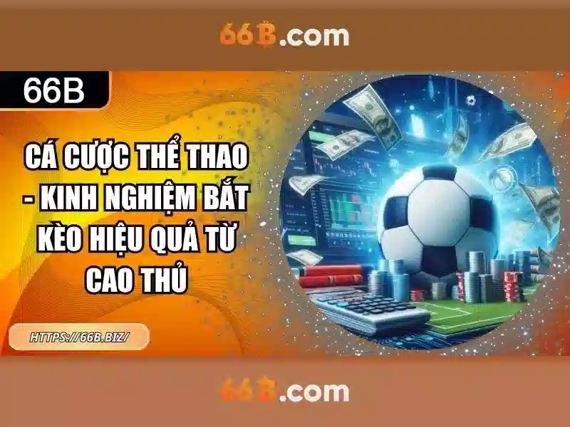 Mô hình 66B: Tổng quan, đặc điểm và ứng dụng