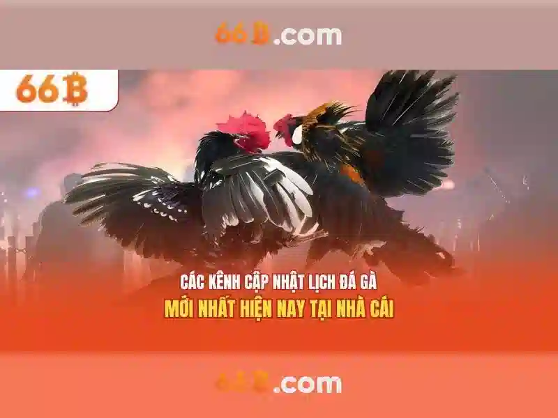 66b: Mô hình ngôn ngữ quy mô lớn 66 tỷ tham số