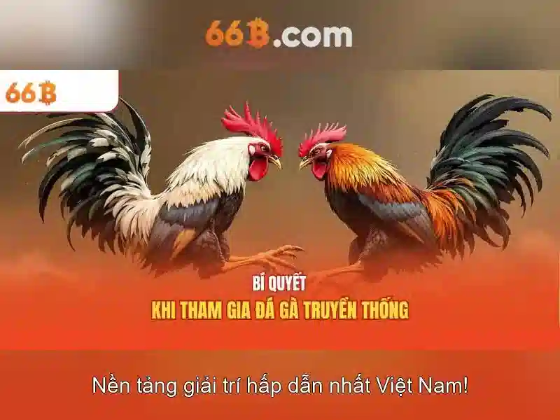 Giới thiệu về 66b
