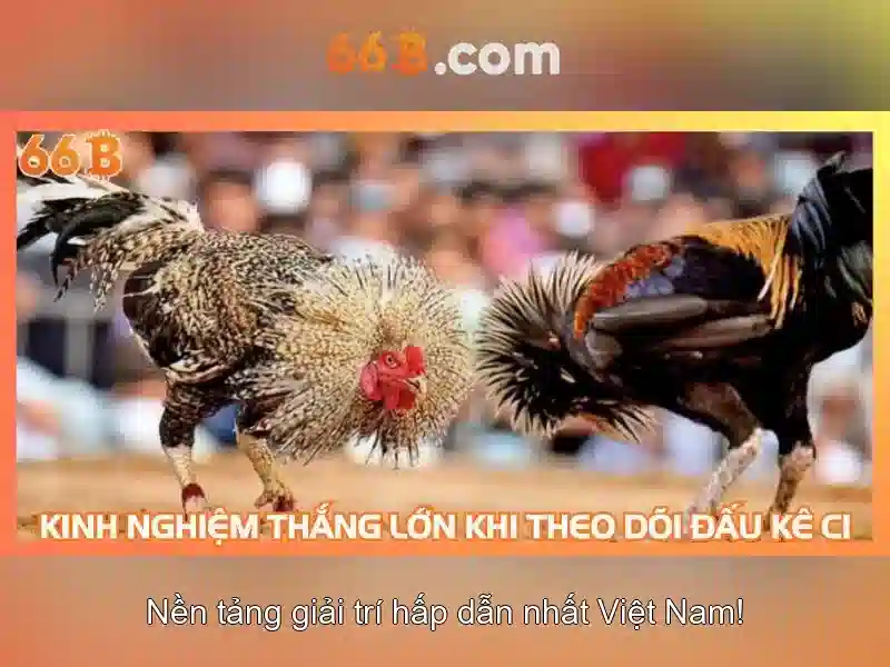 66B: một mô hình ngôn ngữ khối lượng lớn