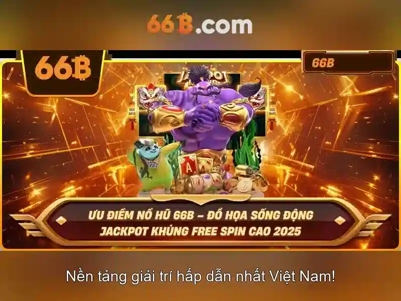 66B là gì?