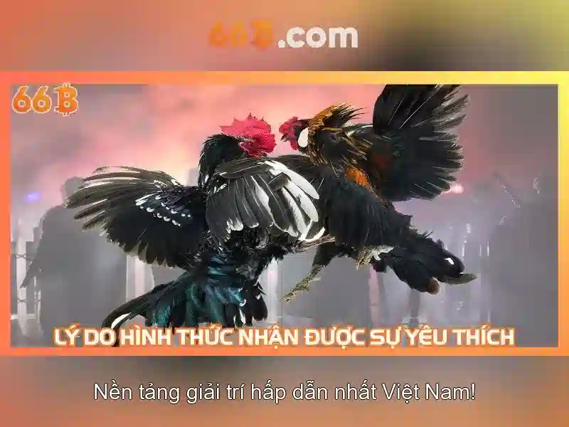 Ứng dụng và hạn chế