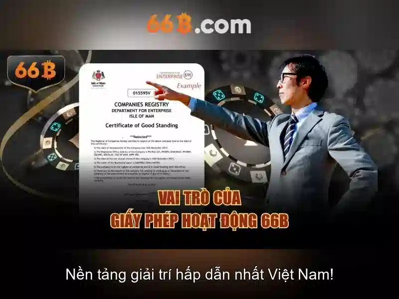 66b: khái niệm và ý nghĩa