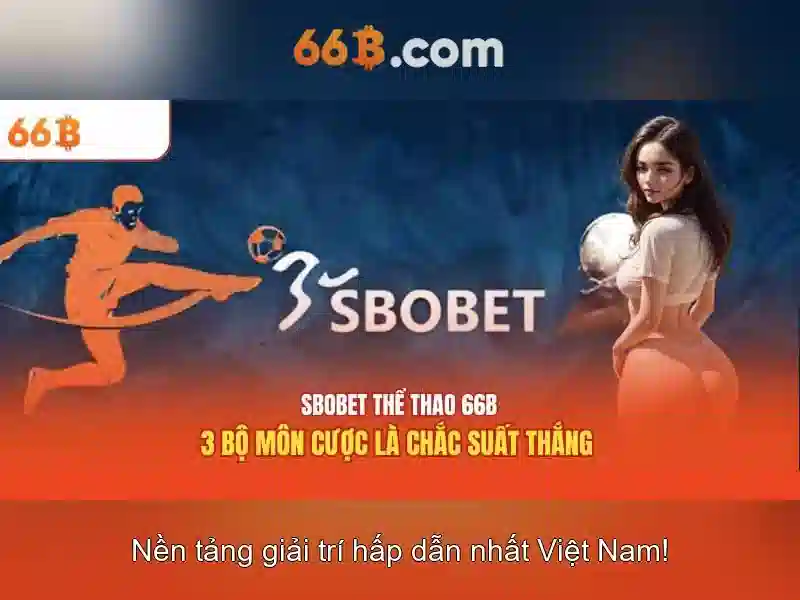 66B là gì?