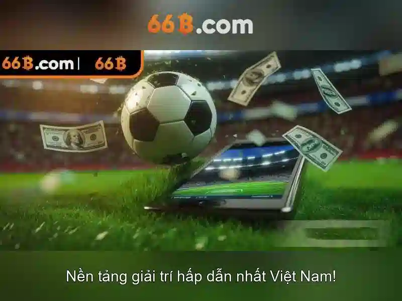 66b - một khái niệm mở và hành trình khám phá