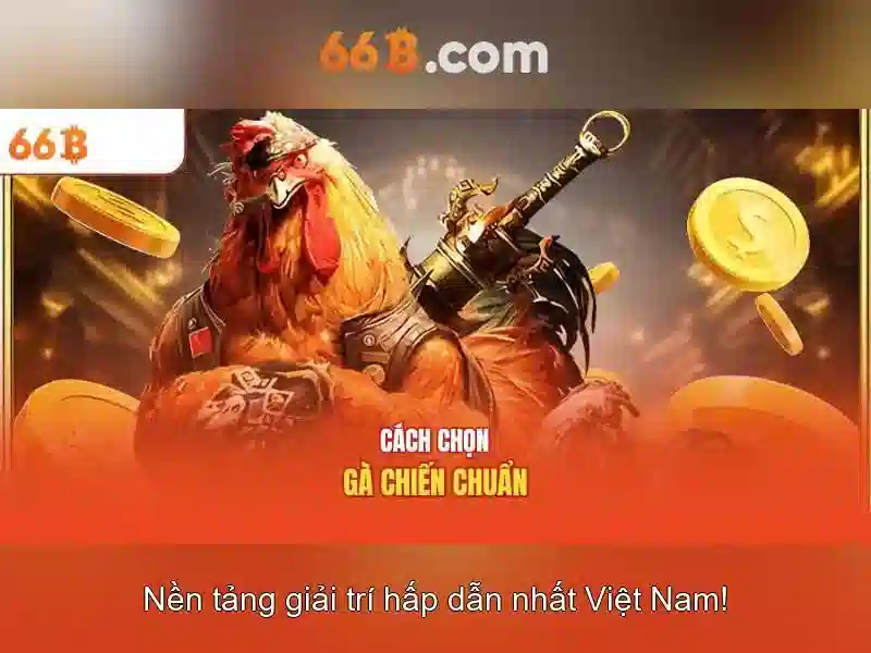 Kích thước và cấu trúc của 66b