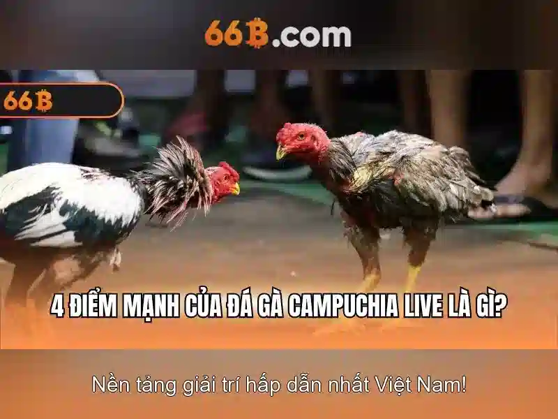 66b: một khái niệm và ứng dụng trong thế giới công nghệ