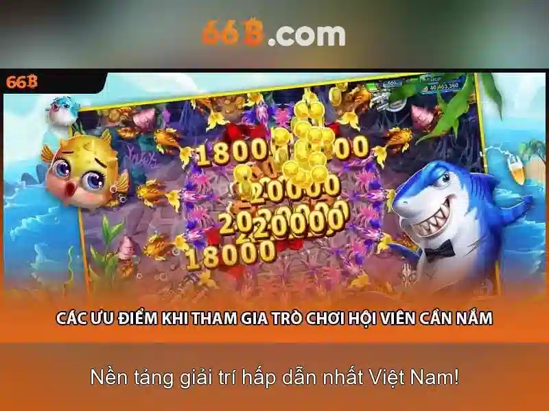 66b là gì? Khái niệm và ứng dụng