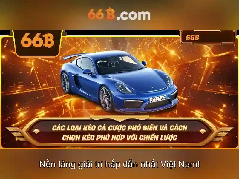 Khái niệm và kích thước