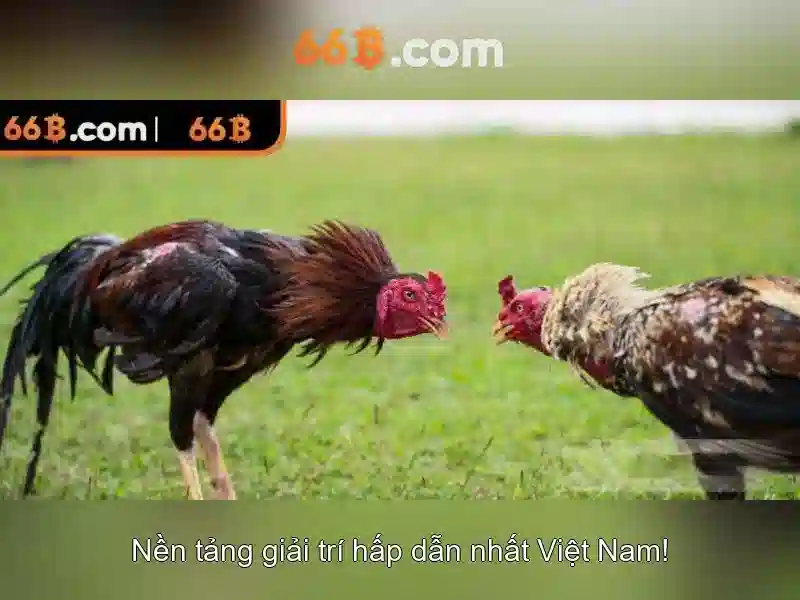 66b: Mô hình ngôn ngữ lớn và tương lai AI