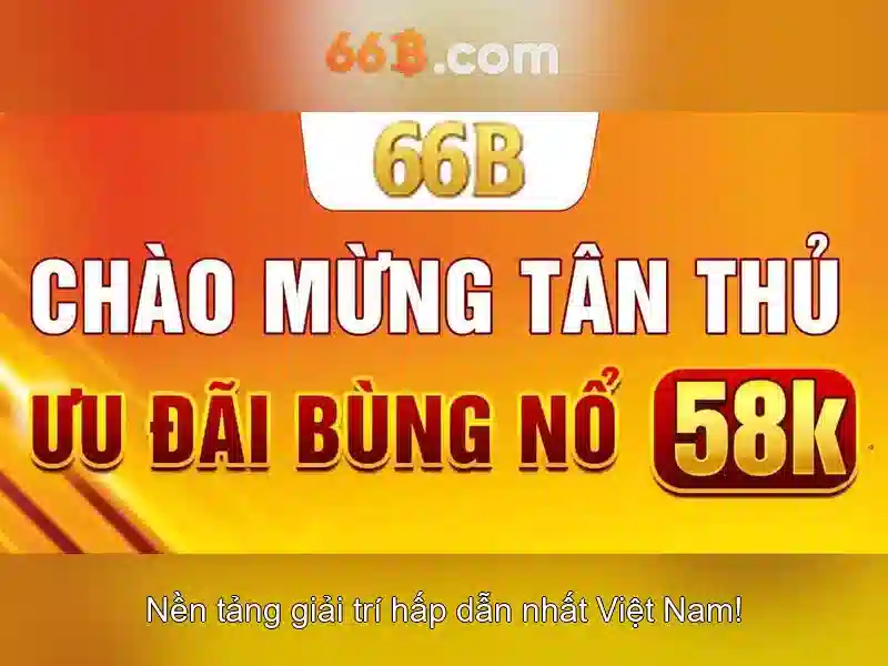 66B là gì?