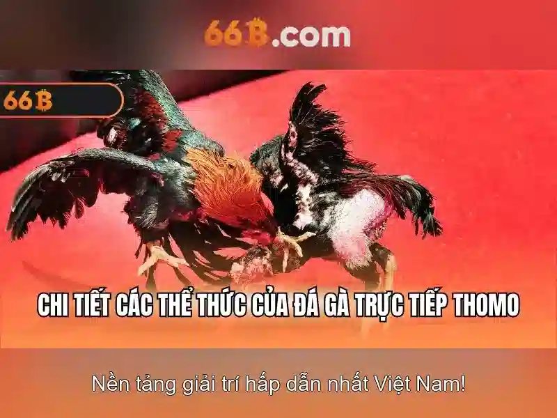 Kiến trúc và tối ưu hóa