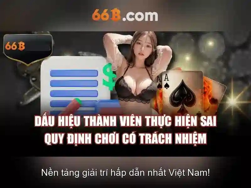 Đặc điểm và hiệu năng của 66B